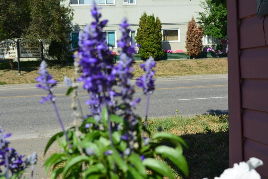 Queensway Court Motel Prince George Buitenkant foto